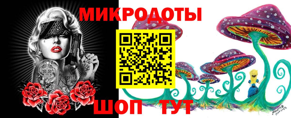 Ухта  Псилоцибиновые грибы Psilocybe  Вход с VPN 