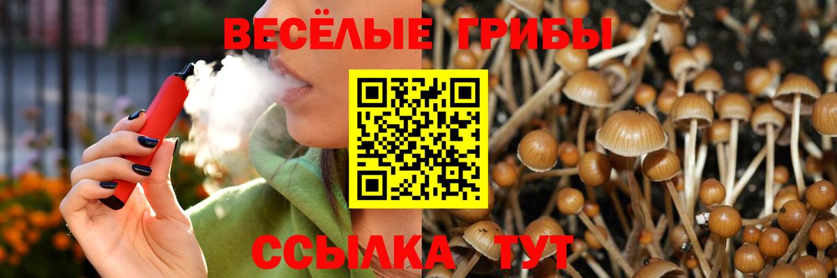 Псилоцибиновые грибы мухоморы Ухта